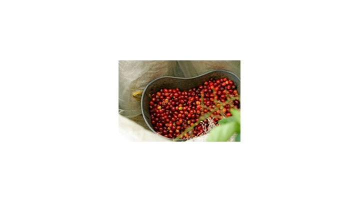 Café del Cauca, 100% colombiano.
