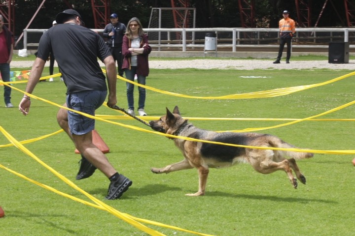 Dándolo todo en la carrera de obstáculos