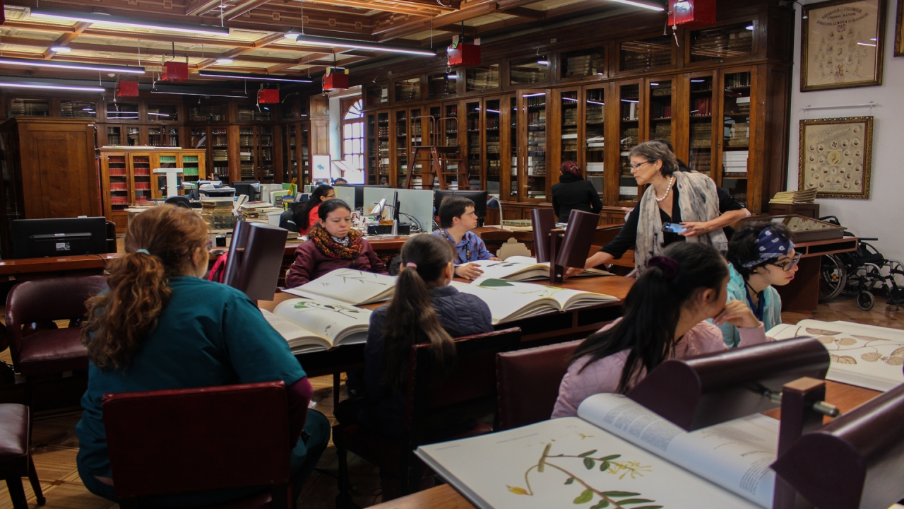 En la clase de expedición botánica los estudiantes, aprenden sobre turismo accesible e incluyente aprovechando los espacios patrimoniales del claustro de la Universidad del Rosario|El acompañamiento a los estudiantes de 'Transición es Crecer' es fundamental|Los alumnos realizan pasantías laborales en diferentes lugares de la Universidad del Rosario|Estudiantes programa 'Transición es Crecer'|||