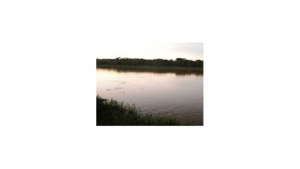 Amazonas|||