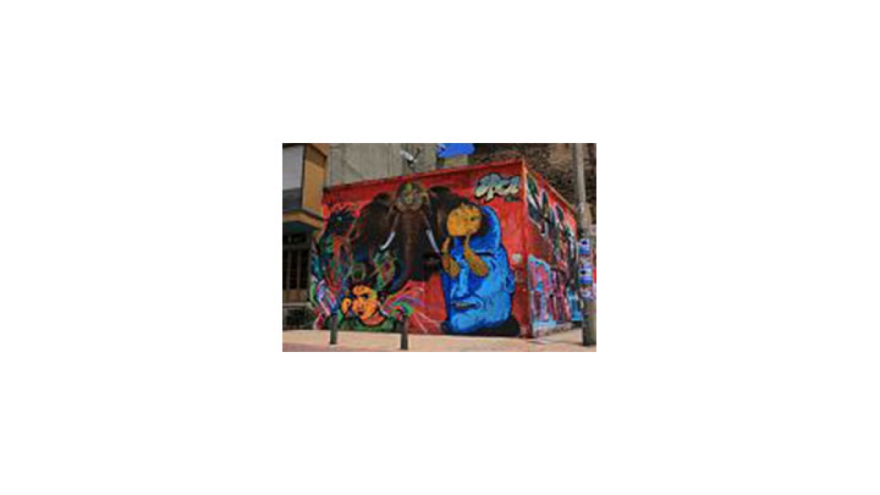 Grafitti de APC con colaboración de Stinkfish en el Eje Ambiental.|||