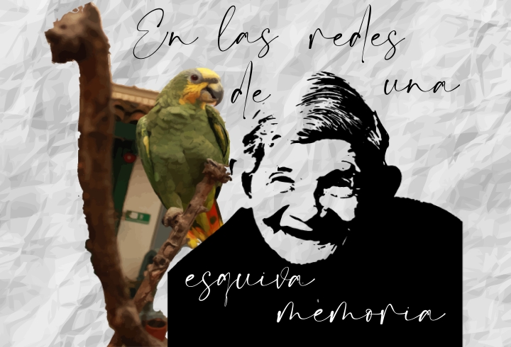 Fotoilustración 'En las Redes de una Esquiva Memoria"
