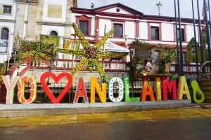 El letrero "Yo amo Anolaima" del parque central se adorna con las figuras hechas con frutas|Dragón hecho con frutas|Los campesinos anolaimunos realizan un buey grande con naranjas y mandarinas.|||
