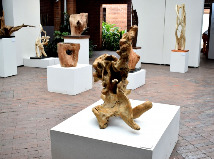 Exposición 'Espíritus del bosque'