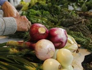 Material orgánico para los visitantes del Jardín Botánico|Visitantes en el Aula Ambiental|Entrega de planta a asistente a taller de compostaje|Abono|Plantas para los visitantes|Instructora del Jardín Botánico|Exposición 'Espíritus del bosque'|Pieza de Miguel Calderón||||