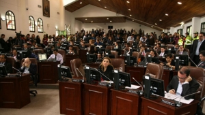 Concejo Bogotá|||