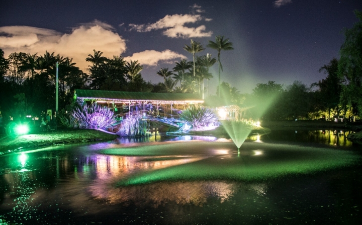 Recorridos nocturnos del Jardín Botánico