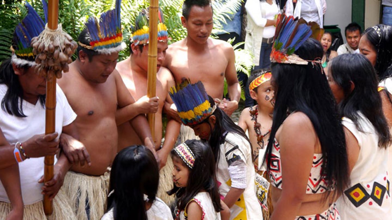 Bailes, comida y libros hicieron parte del evento de las comunidades nativas|Tres hombre pertecientes al pueblo indígena Uitoto se preparan para hacer una danza ritual, en conmemoración del Día Nacional de las Lenguas Nativas.|El chaman Uitoto da inicio a la danza ritual a través de cantos sagrados.|La danza ritual del pueblo Uitoto inicia y los hombres y las mujeres danzan al rededor de los niños de su comunidad.|Una de las mujeres del grupo se desplaza danzando al centro del grupo para indicarle a los niños como deben danzar.|Todos los mienbros de la comunidad Uitoto se deplazan danzando y cantando al rededor del patio central del Instituto Caro y Cuervo.|Un niña Uitoto sonrie al danzar y cantar junto a los mienbros de su comunidad.|Un hombre lleva plasmado en su piel un simbolo sagrado de la comunidad Uitoto.|||