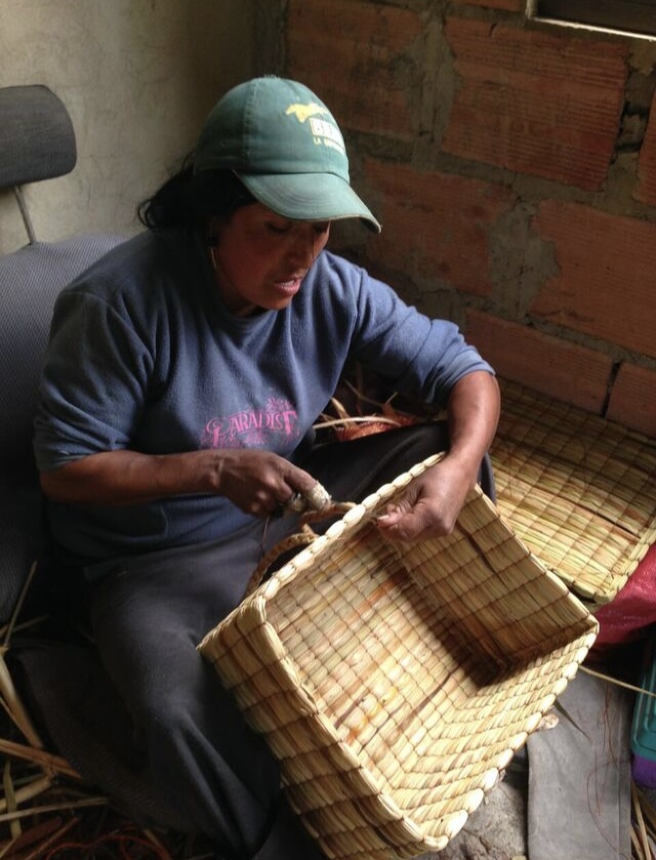 Flor tejiendo canastos en junco|||