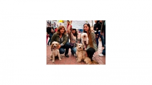 Hasta 40 millones de pesos y 36 meses de cárcel podrían incrementar las penas por maltrato animal en este proyecto de ley.|||