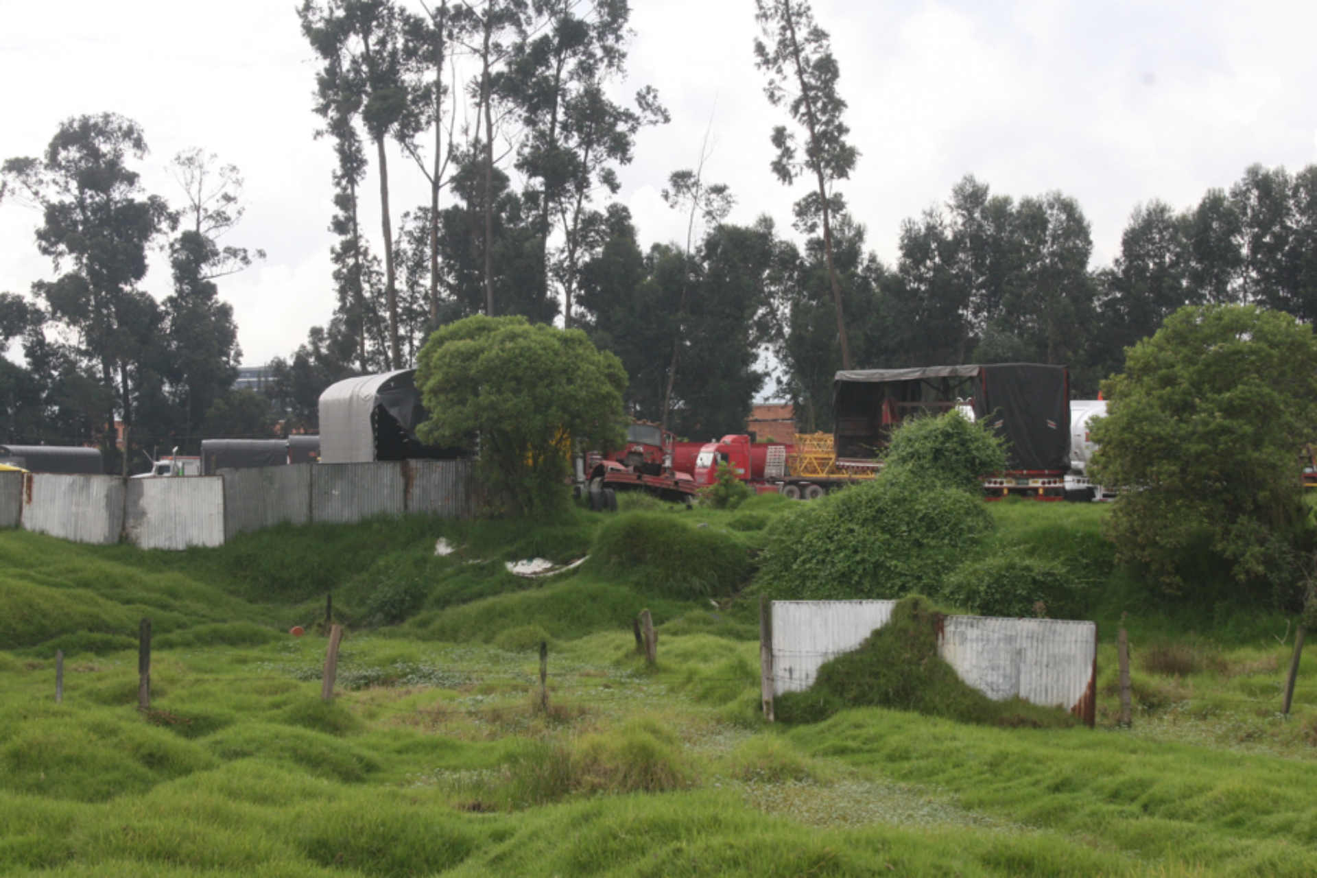 Problemática ambiental en el humedal de Capellanía