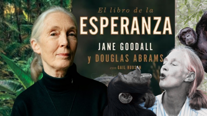 Jane Goodall