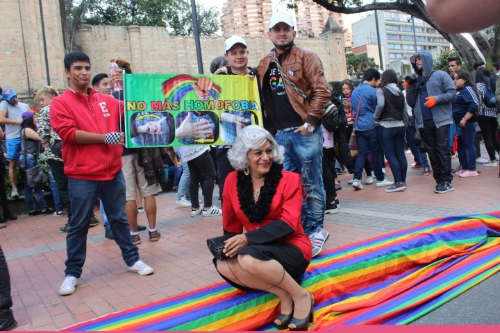 Marcha 'Bogotá Libre de Homofobia'