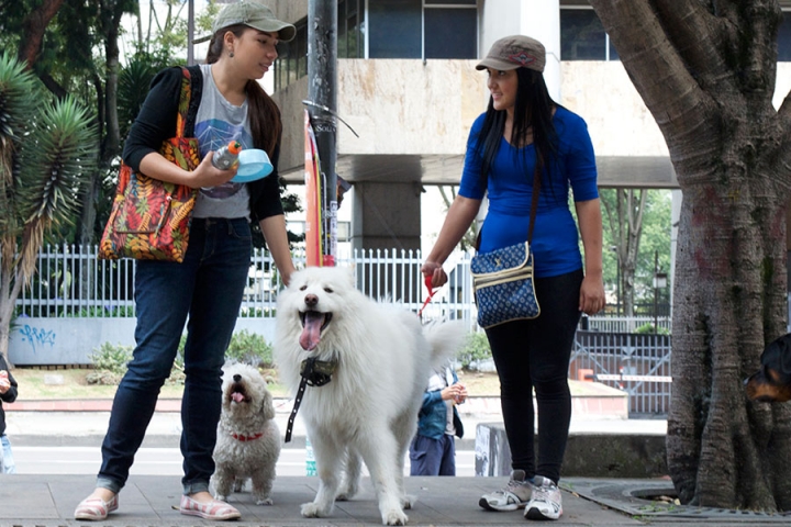 Los 'peludos' participaron en la movilización que se promovió en redes sociales.