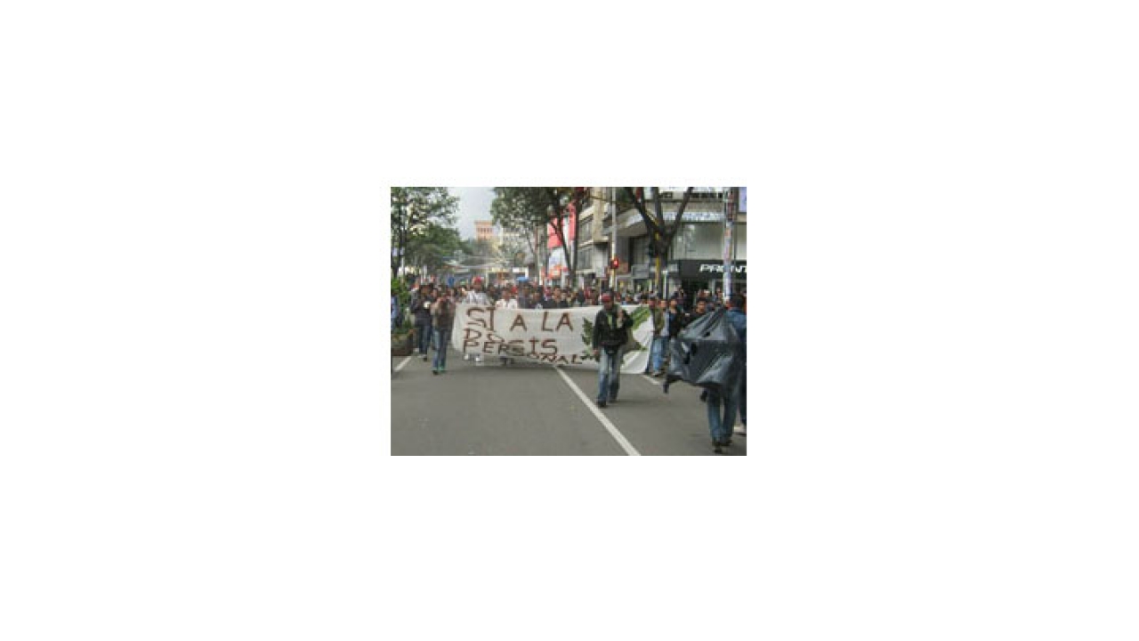 Se acerca la marcha mundial de la marihuana