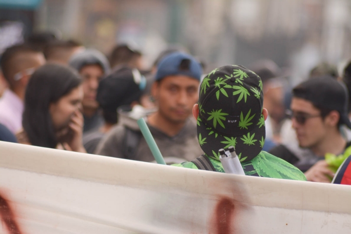 "Abramos el debate sin estigmatización y sin miedo a la dosis mínima"