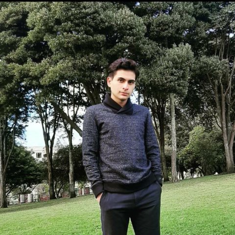 Juan Andrés Alvarado Maldonado